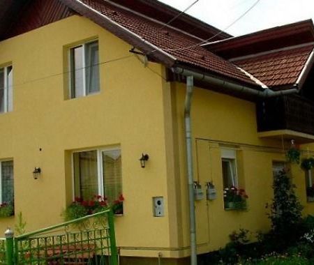 Pensiunea Bio Coltău المظهر الخارجي الصورة